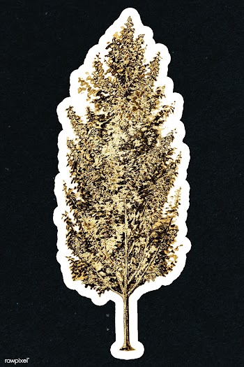 Gold pear tree sticker with a white border | Free  illustration - 2368646