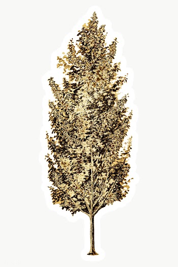 Gold pear tree sticker with a white border | Free  transparent png - 2368622