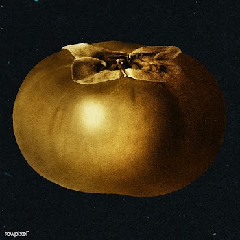 Gold persimmon fruit sticker design element | Free  illustration - 2366009