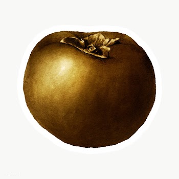 Gold persimmon fruit sticker with a white border | Free  transparent png - 2365991