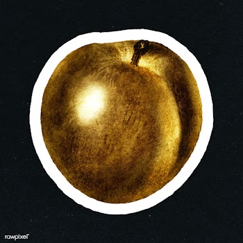 Gold plum fruit sticker with a white border | Free  illustration - 2358901