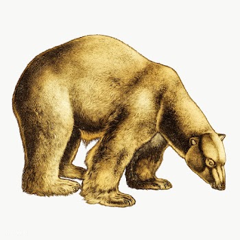 Gold polar bear sticker  design element | Free  transparent png - 2369316