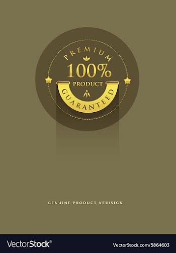 Gold Premiun vector image