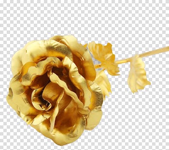 Gold rose art, Beach rose Gold Flower, Golden,rose transparent background PNG clipart