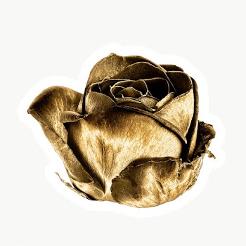 Gold rose flower sticker with a white border | Free  transparent png - 2366535