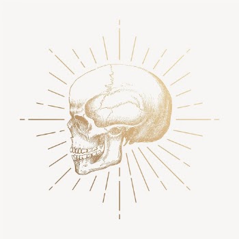 Gold skull clipart, vintage aesthetic | Free Vector Illustration - rawpixel