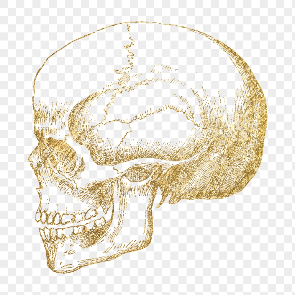 Gold skull png sticker, goth | Free PNG Illustration - rawpixel