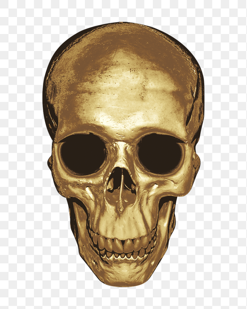 Gold skull png sticker, transparent | Free PNG - rawpixel