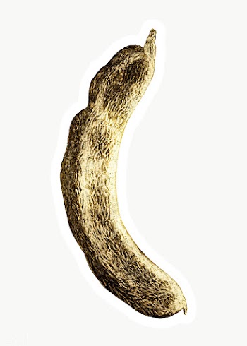 Gold tamarind sticker with a white border | Free  transparent png - 2358918