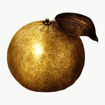Gold tangerine orange sticker design element | Free  transparent png - 2355354