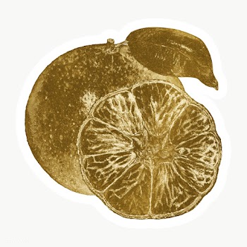 Gold tangerine orange sticker with a white border | Free  transparent png - 2358947