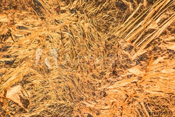 Gold textured background
