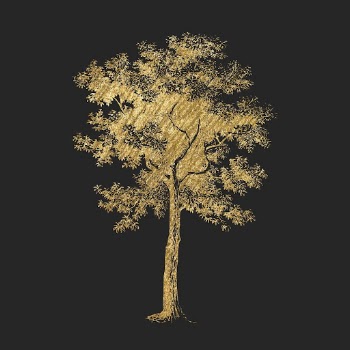 Gold tree clipart, nature aesthetic | Free PSD Illustration - rawpixel