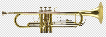 Gold Trumpet PNG Images