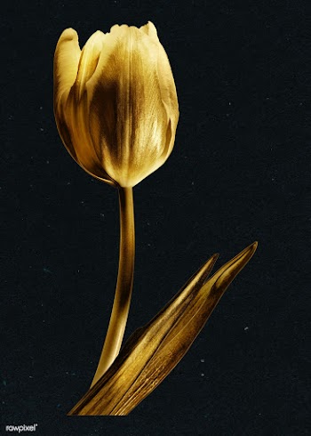 Gold tulip flower sticker design element | Free  illustration - 2366526