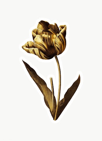 Gold tulip flower sticker with a white border | Free  transparent png - 2366530