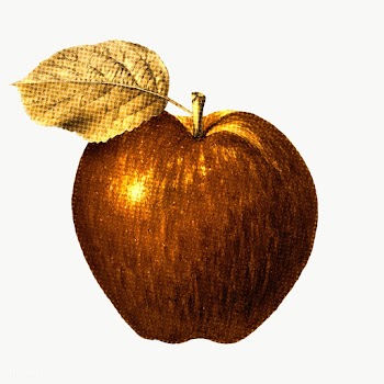 Golden apple illustration sketch style | Free  transparent png - 2337291