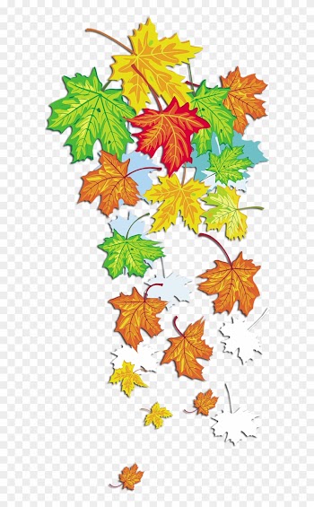 Golden Autumn Season Leaf Summer - Кленовые Листья На Прозрачном Фоне