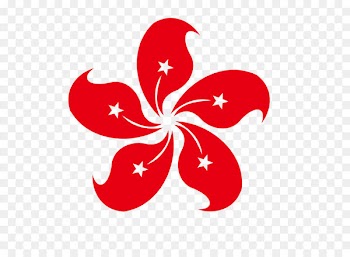 Golden Bauhinia Square Transfer of sovereignty over Hong Kong Bauhinia × blakeana Flag of Hong Kong Cercis chinensis - Hong Kong Bauhinia regional flag vector material 