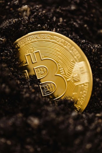 Golden Bitcoin in Dark Velvet