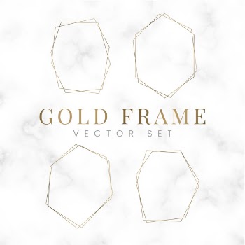 Golden blank hexagon frame vector set