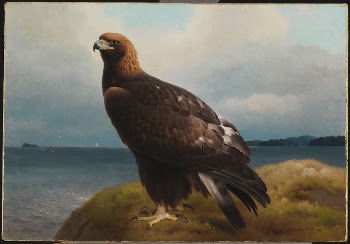 Golden eagle, 1884, by Ferdinand | Free Photo - rawpixel