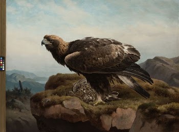 Golden eagle at a cliff's | Free Photo - rawpixel