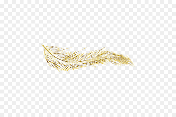 Golden Feather png download - 600*600 - Free Transparent Feather ...
