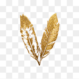 Golden Feather Png, Vector, PSD, and Clipart With Transparent ...