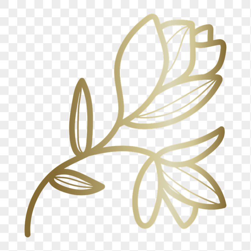 Golden flower png doodle sticker, | Free PNG - rawpixel