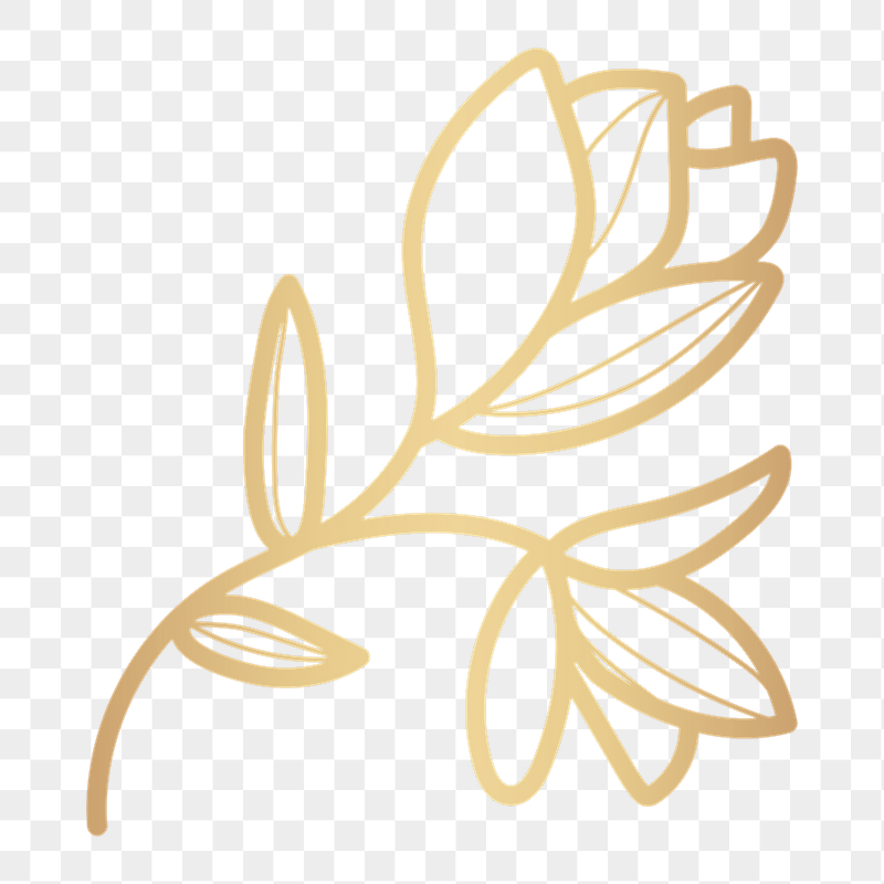 Golden flower png doodle sticker, | Free PNG - rawpixel