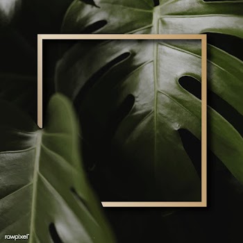 Golden frame on leaves | Free stock vector - 599736