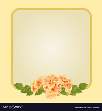 Golden frame with yellow hibiscus greeting card vector image