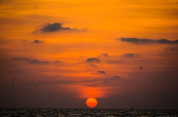 Golden Hour Horizon