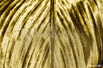 Golden leaf background