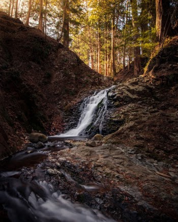 Golden light illuminates the forest above Kegon Falls, Nikko, Japan.