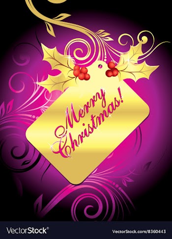 Golden Merry Christmas Tag vector image