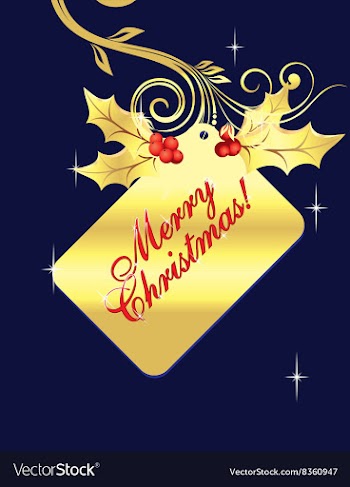 Golden Merry Christmas Tag vector image