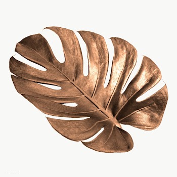 Golden monstera leaf design resource  | Free  transparent png - 2362854