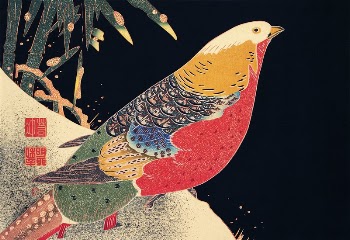 Golden Pheasant in the Snow | Free Photo Illustration - rawpixel