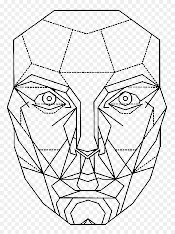 Golden ratio Face Mathematics Proportion - mascara 