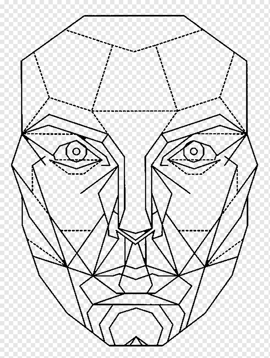 Golden ratio Face Mathematics Proportion, mascara, white, people, symmetry png
