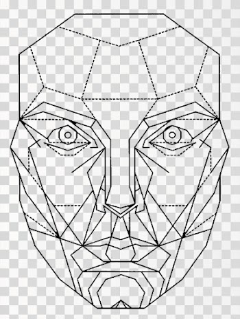 golden ratio face PNG transparent background