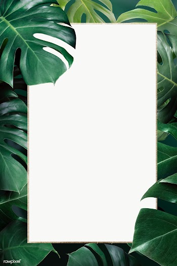 Golden rectangle monstera leaves frame design resource  | Free  transparent png - 2280692