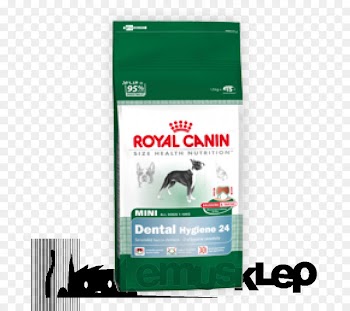 Golden Retriever, Cat Food, Royal Canin, Canidae, Puppy PNG