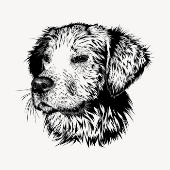 Golden Retriever dog hand drawn, | Free Vector - rawpixel