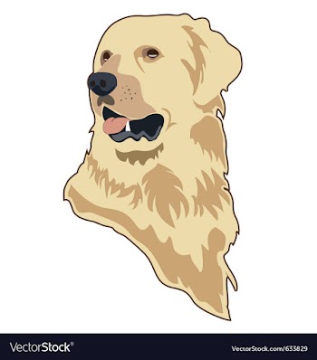 Golden retriever vector image