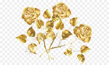 Golden Rose Rose Creative sea 