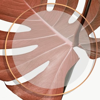 Golden round monstera frame design resource  | Free  transparent png - 2280659