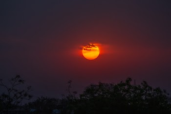 Golden Sun